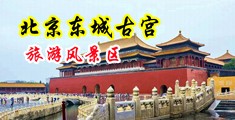 国产免费操女生鸡巴中国北京-东城古宫旅游风景区